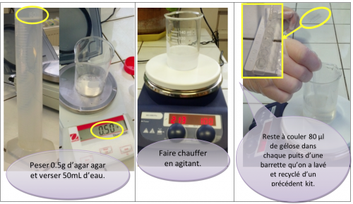 Préparation de la gélose d'agar agar à 1%. {PNG}