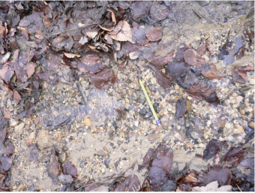 Photographie (G. Carlier) 7 : Retour sur le chemin initial {PNG}